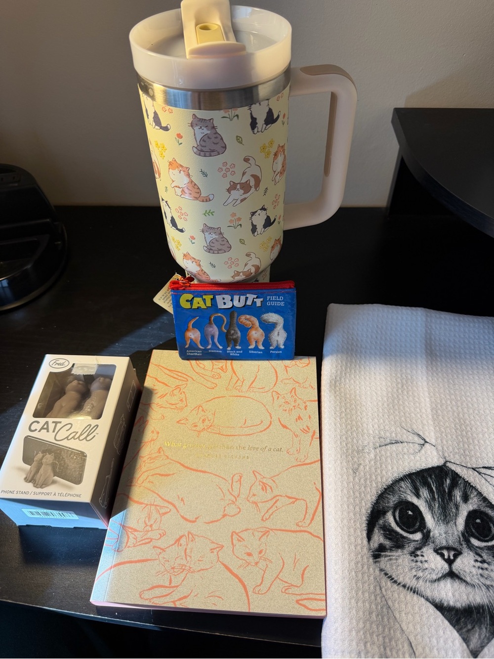 Crazy Cat Lady Gift Set!